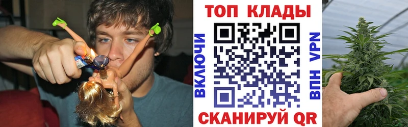 APVP Мичуринск