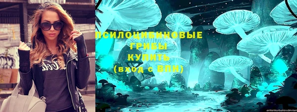 спайс Липки
