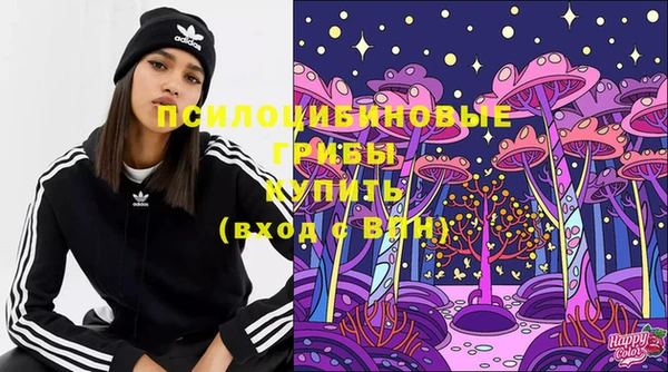 бошки Лихославль
