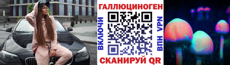Галлюциногенные грибы Psilocybine cubensis  Купить где  Мичуринск 